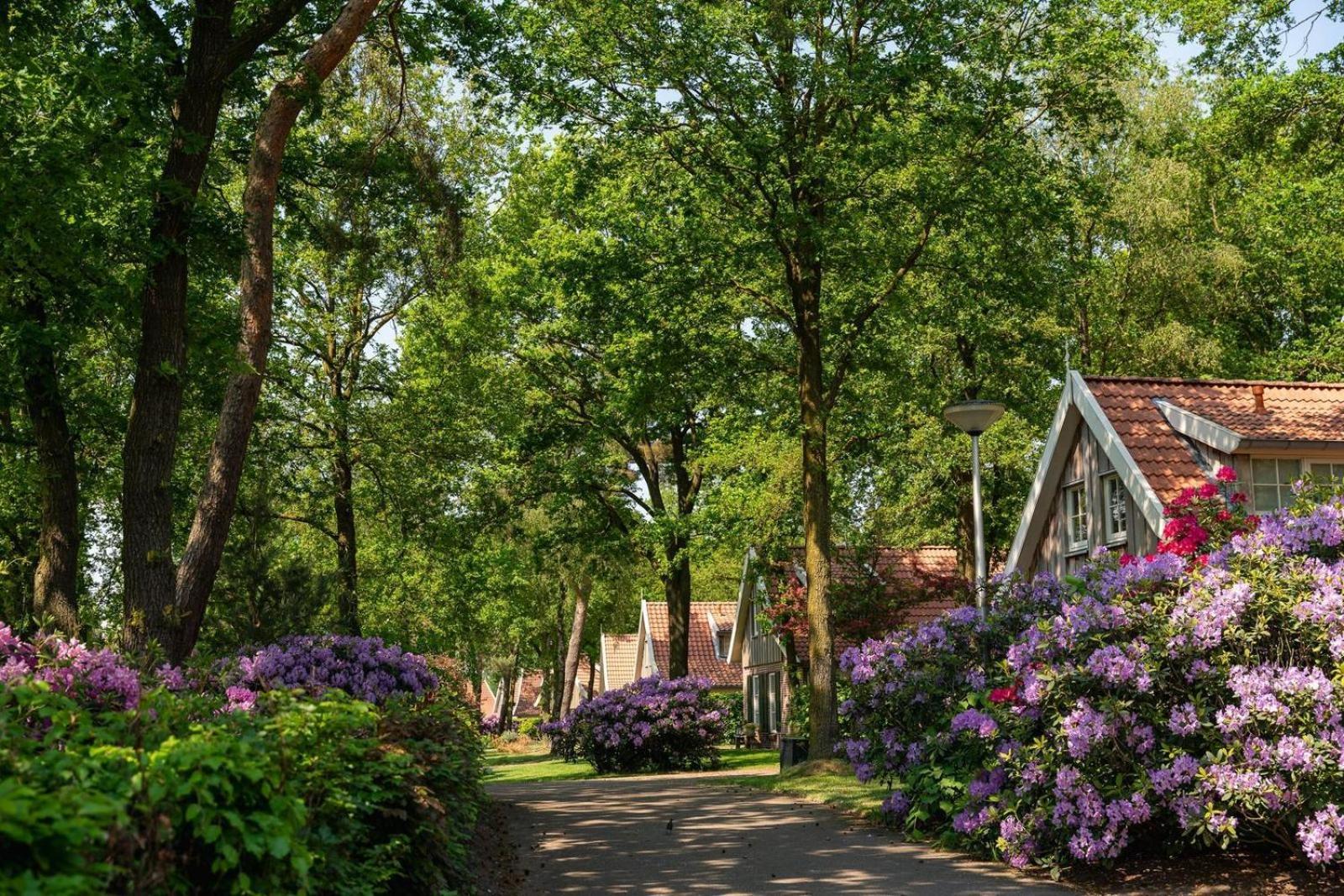 De Bosuil Villa Hoge-Hexel Kültér fotó