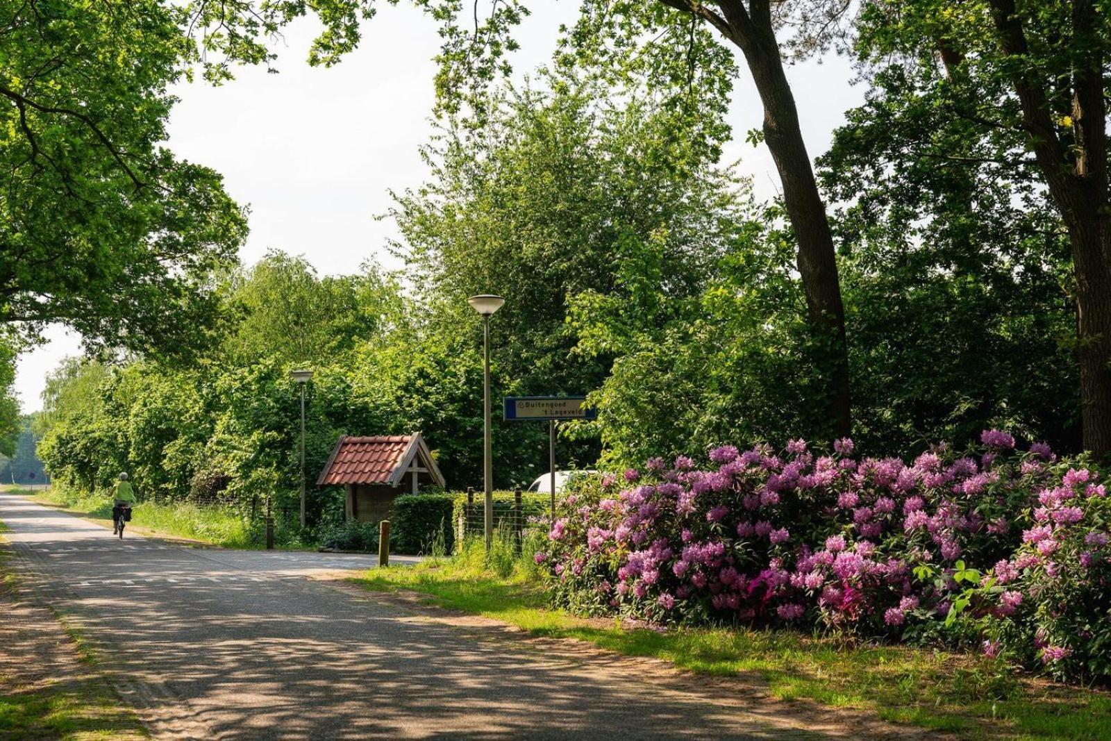 De Bosuil Villa Hoge-Hexel Kültér fotó
